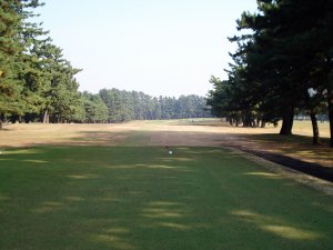 20091110