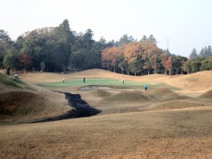 20091128