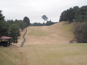 20091209