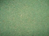20080601