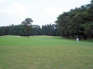 20080617