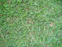 20080620