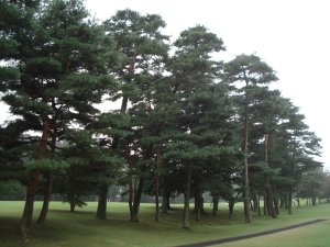 20081024