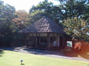 20081028