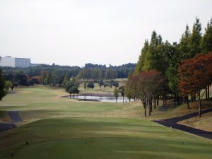 20081102