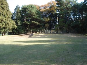 20081102