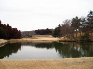 20090226