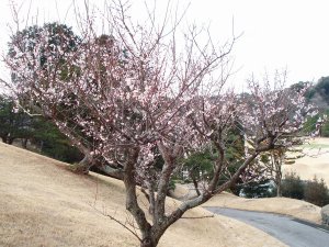 20090228