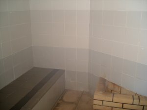 20090310