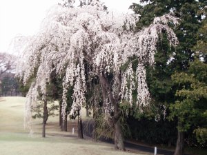20090401