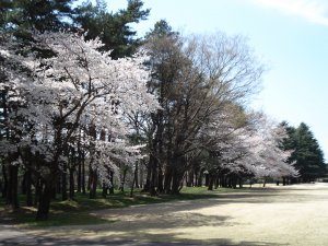 20090403