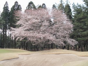 20090404