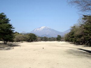 20090409