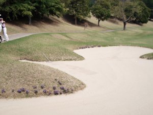 20090412