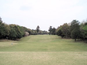 20090414
