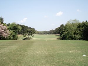 20090419