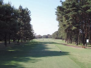 20090428