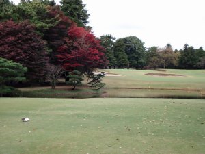 20091112