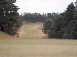 20091209