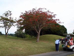 20081102