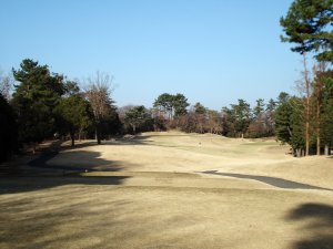 20081230