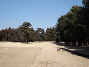 20090118
