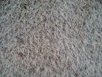 20090120