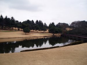 20090226