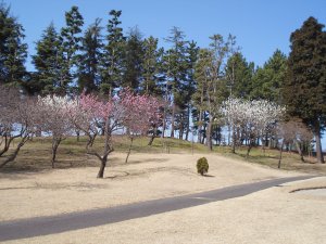 20090312