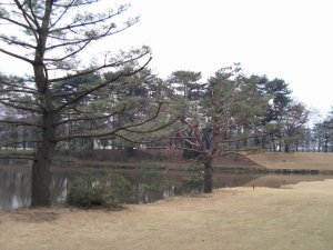 20090401