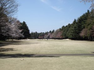 20090403