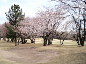 20090404