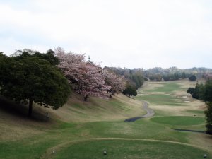 20090412