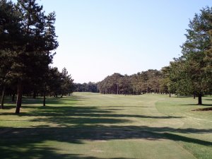 20090428