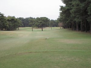 20091025