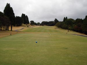 20091114