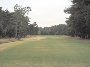 20091119