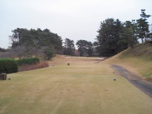 20091209