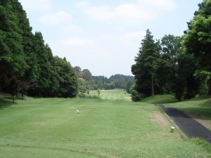 20080618