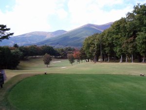 20081028