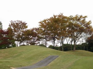 20081102