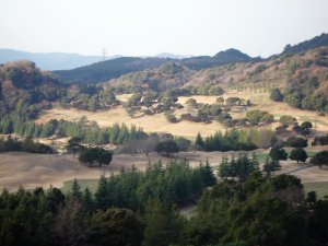 20081102