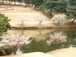 20090226
