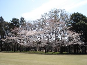 20090403