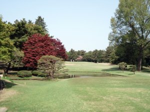20090419
