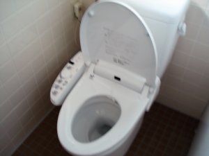 20090428