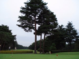 20081026