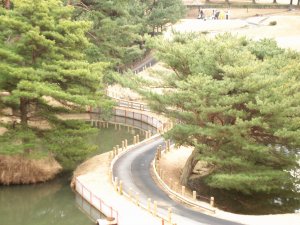 20090226