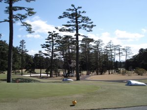 20090307