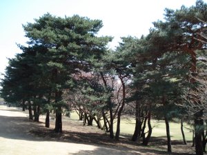 20090403